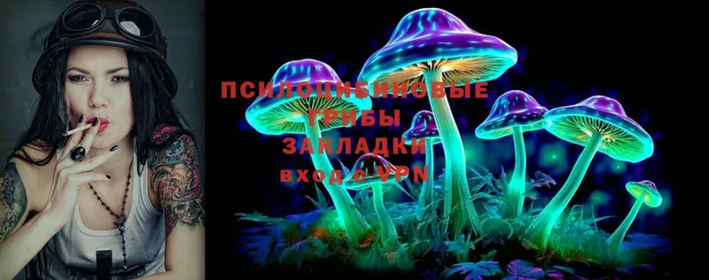 Галлюциногенные грибы Magic Shrooms  закладки  Фролово 